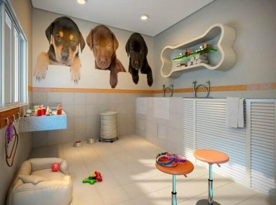 宠物店怎么设计？宠物店设计3大原则