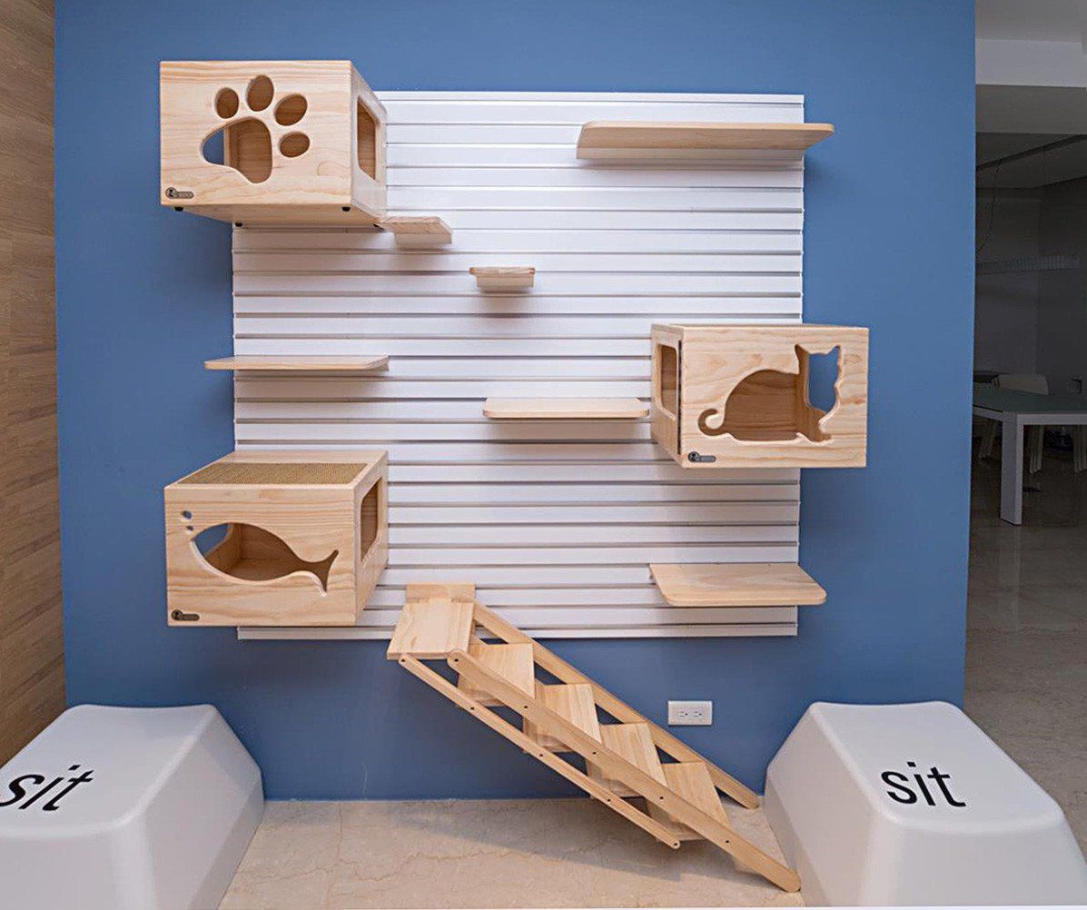 猫咖装修风格如何选择？