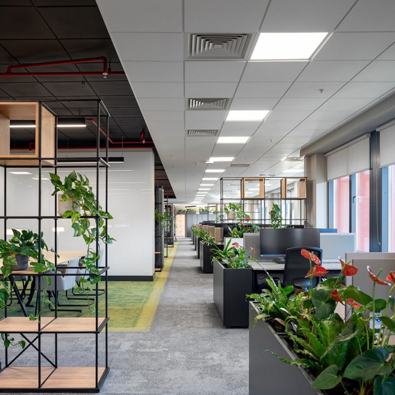 办公室装修绿化设计的重要性和细节点